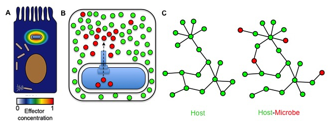 SiteWeb_Projet_Fig3_Fr